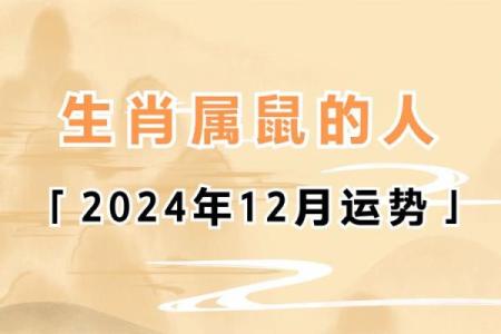 2020年属鼠的金命运解析：如何把握机会，实现财富与成功！