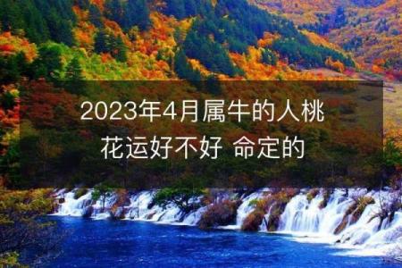 1997年牛年出生的命运解析：探索牛年人的个性与运势
