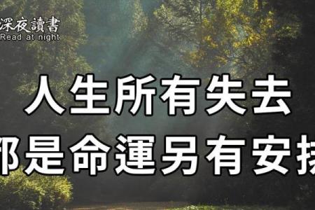 周公解梦：鼻梁低的命运解析与人生启示