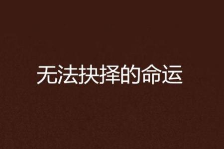 探索《仙命》和《亡命》：命运与选择的边缘之旅