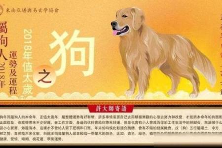 2018年12月出生的狗是什么命？深入解析狗年命运与人生轨迹