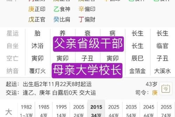 1982年出生的男性命运解析：命理与人生的深度解读