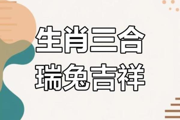 2023年兔年命运解析:运势、性格与生活指南 2023年兔年命运解析:运势、性格与生活指南