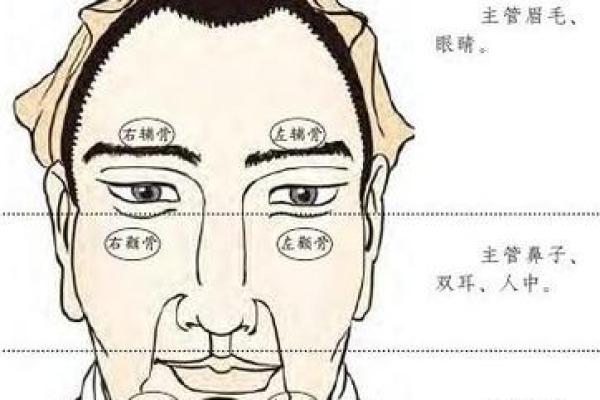 揭秘童子命：面相特征解析与命理启示