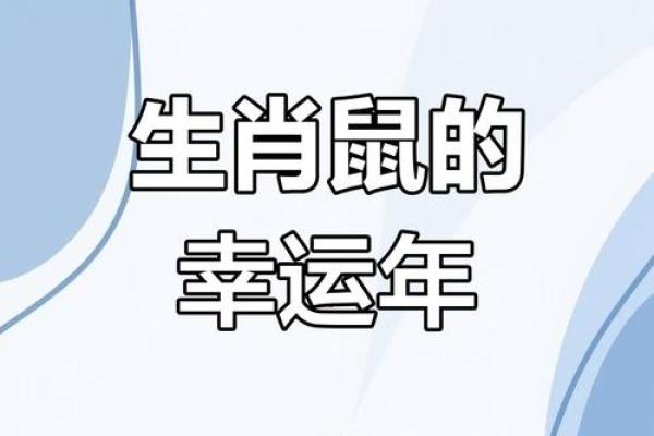 2008年属鼠命运解析:智慧与机遇并存的生肖之旅 2008年属鼠命运解析:智慧与机遇并存的生肖之旅