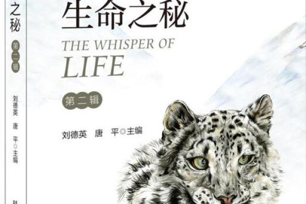 探秘命理学:揭示生命轨迹的神秘艺术与科学 探秘命理学:揭示生命轨迹的神秘艺术与科学