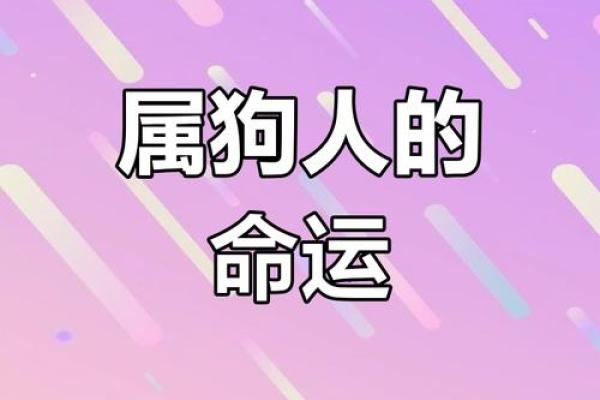 2006年属狗的人命运揭秘:性格特点与发展方向 2006年属狗的人命运揭秘:性格特点与发展方向
