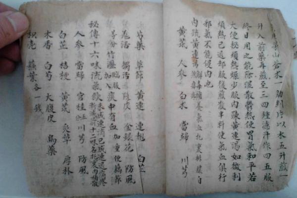 命犯天罗地网，探秘命理背后的秘密与解读