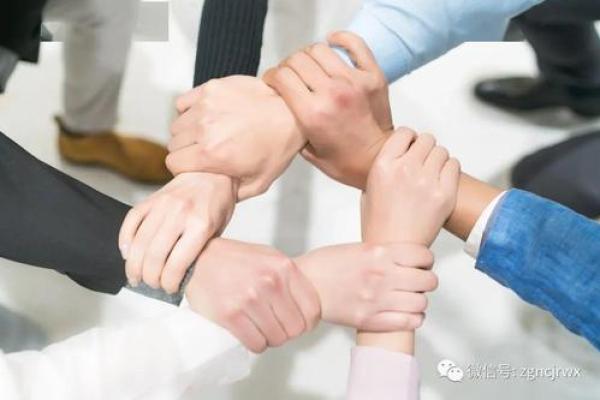 探索2002年出生者的命运与性格特征，解析生命的奥秘与机遇