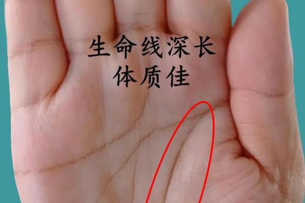 掌握命运的秘钥：从手掌特征解读人生轨迹
