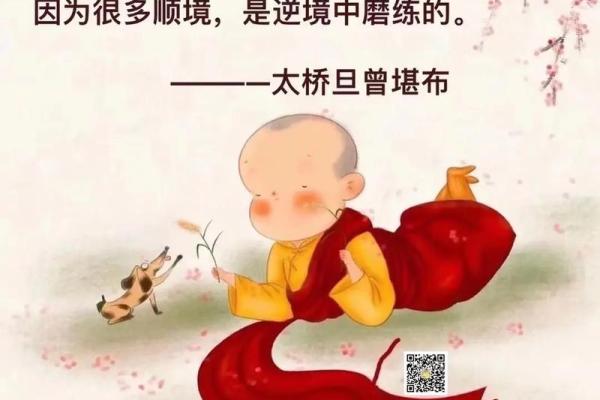 揭秘90岁以上的命运：长寿的奥秘与智慧