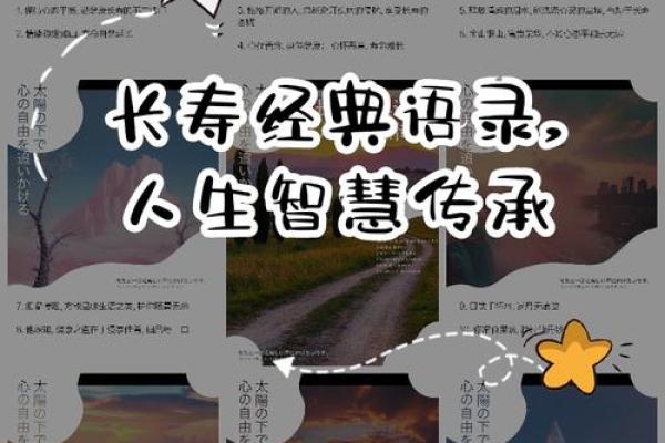 揭秘90岁以上的命运：长寿的奥秘与智慧