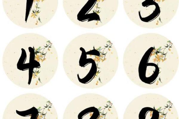 海中金命的车牌选择：如何找到最适合你的车牌数字？