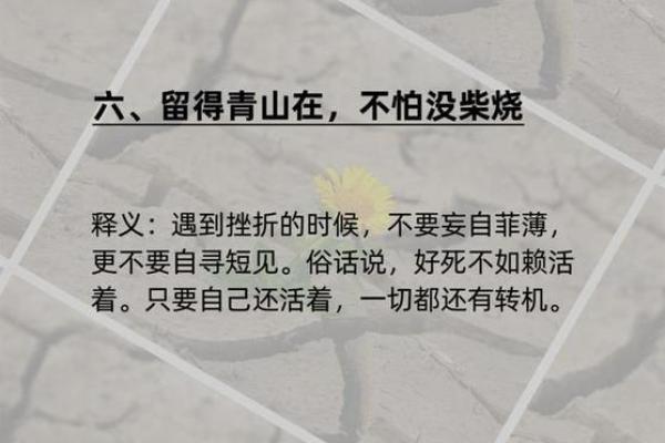 探寻“威而不猛，命而不迫”的智慧之道