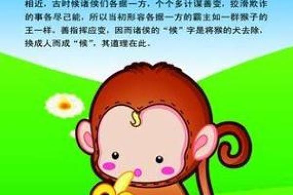 阴历80年命理解析：解读属猴人的命格与性格特点
