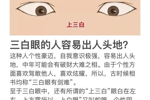 揭示男人面相中的富贵命,如何一眼识别成功者! 揭示男人面相中的富贵命,如何一眼识别成功者!