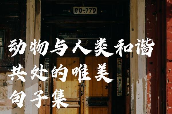 为什么动物的命比人的命更重要？解读人与自然的深厚联系