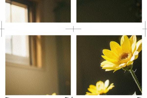 没有儿子的命：通过生活的智慧寻找内心的平静与满足