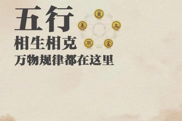 木命交运应注意的秘诀与建议，助你顺风顺水！