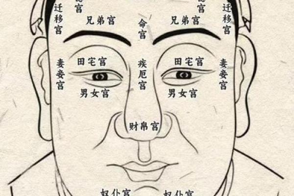 面相解析：贪财命好看男孩的特征与魅力