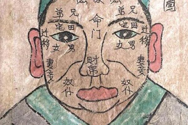 面相解析：贪财命好看男孩的特征与魅力