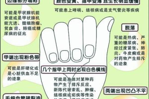 膝盖上长毛的秘密：命运与健康的关系探讨