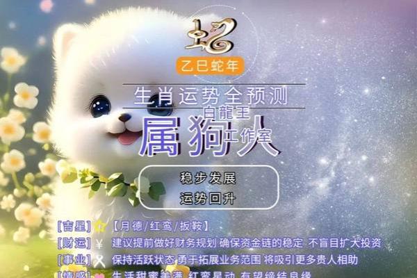 2006年属狗，命运解析与生活指引