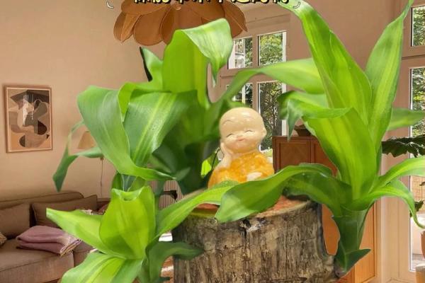 探索大林木命：适合养的植物与带来的好运