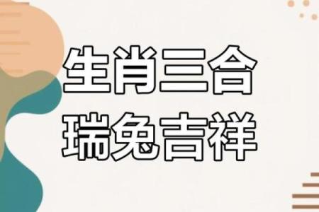2023年兔年命运解析：运势、性格与生活指南
