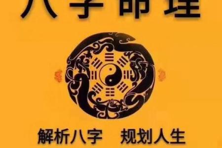 2019年冬月命运解析：探寻生命的玄机与智慧