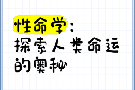 2020年是什么命？探寻命运背后的奥秘与人生启示