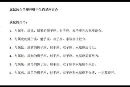 2008年属鼠命运解析：智慧与机遇并存的生肖之旅