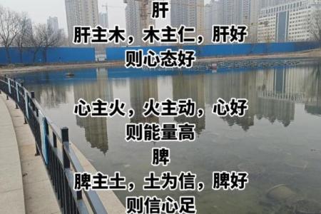 火命者如何平衡脾气与佩戴风水饰品的智慧