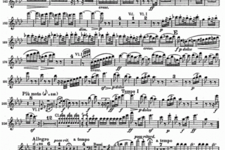 命运的交响曲：从因果关系看成语的深邃哲理