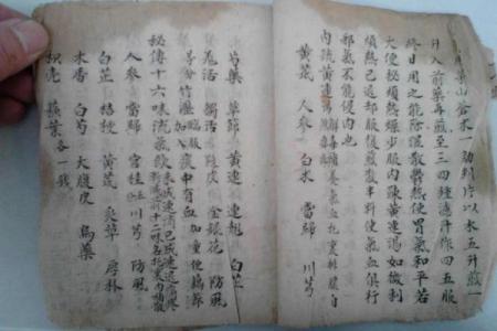 命犯天罗地网，探秘命理背后的秘密与解读