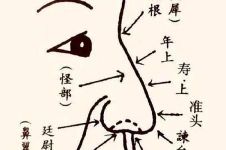 眉心长瘊子的命理解读：揭示命运的微妙秘密