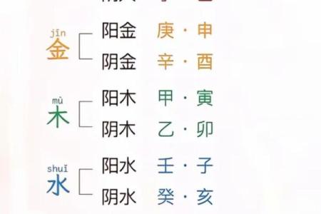 命理启示：生活中的阴阳五行与个人命运的秘密揭示