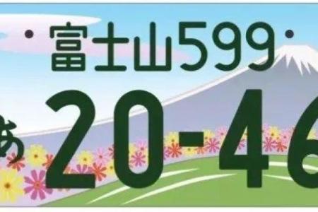 海中金命的车牌选择：如何找到最适合你的车牌数字？