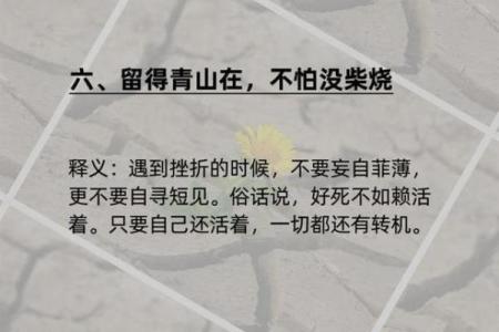 探寻“威而不猛，命而不迫”的智慧之道