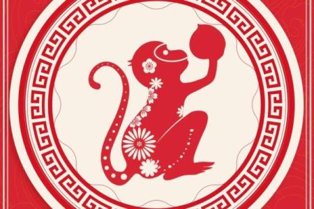 1993年属猴的命运解析：智慧与机遇的完美结合