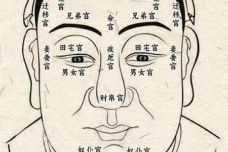 面相解析：贪财命好看男孩的特征与魅力