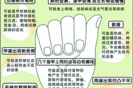 膝盖上长毛的秘密：命运与健康的关系探讨