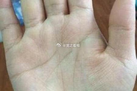 探秘手相中的元宝纹：那些拥有它的人命运如何？