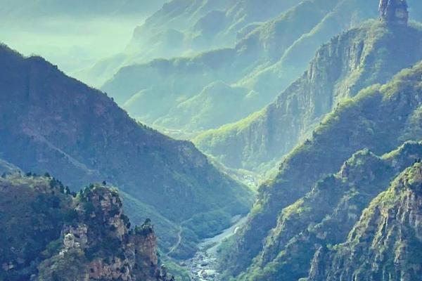 戊戌平地木命：揭示命理与人生的奥秘之旅