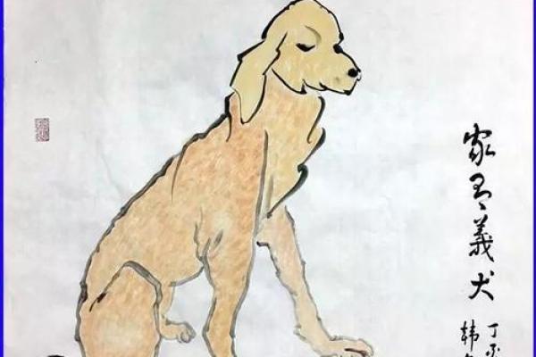 狗年出生的人命运解析：揭示性格与事业轨迹的秘密