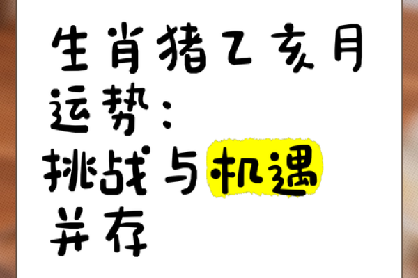 揭开2007年猪年出生者的命运之谜：性格、运势与未来展望