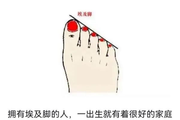 根据脚型探寻命运之路:找寻属于你的生命密码 根据脚型探寻命运之路:找寻属于你的生命密码