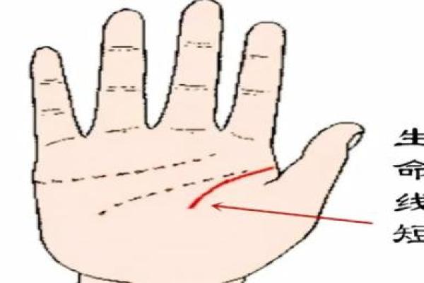 汐字命理解析：汐潮起伏下的生命智慧与命运启示