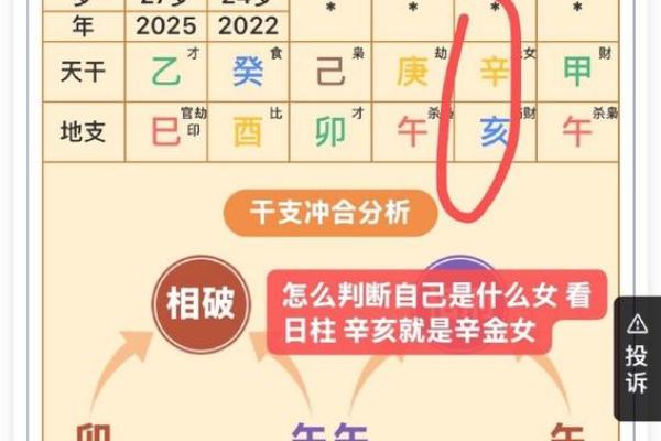 辛未年出生的人命运解析：命理与生活的交融之旅