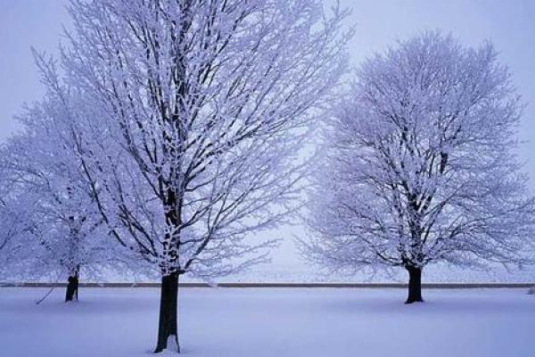 冬季出生的人:命运的深邃与温暖的启示 冬季出生的人:命运的深邃与温暖的启示